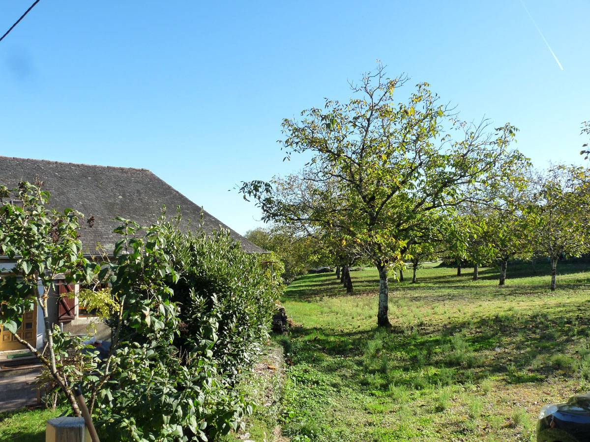 Location de gîte - Exterieur 1 Location de gîte - Exterieur 1